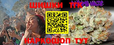 PSILOCYBIN Северобайкальск