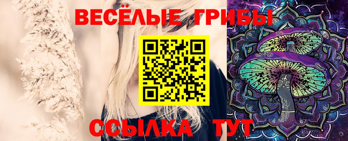 Галлюциногенные грибы MAGIC MUSHROOMS  Вход с VPN  Реж 